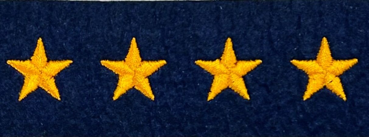 STAR HASH MARKS - 5/8" - DARK GOLD on NAVY FELT.